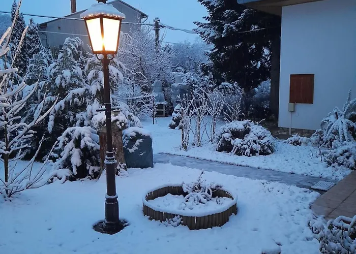 Boni Balatonboglar